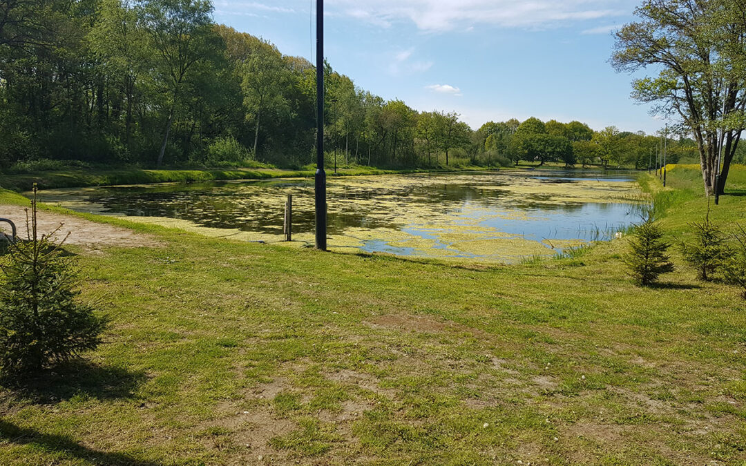 Woekerende waterplanten aangepakt in Tynaarlo