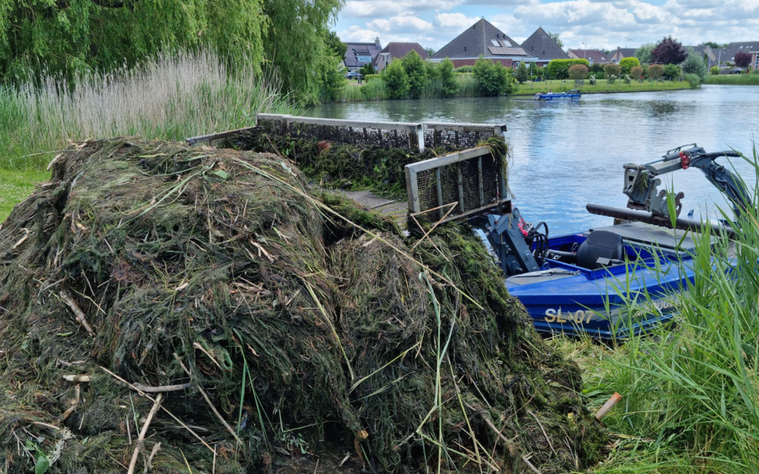 Harkboot.nl BV wordt ingezet bij aanpak bestrijding Ongelijkbladig Vederkruid in Emmeloord, provincie Flevoland.