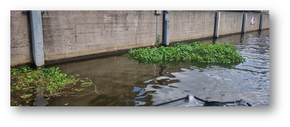 Gemeente Groningen verwijdert en inventariseert invasieve woekerende waterplanten i.s.m. Harkboot.nl